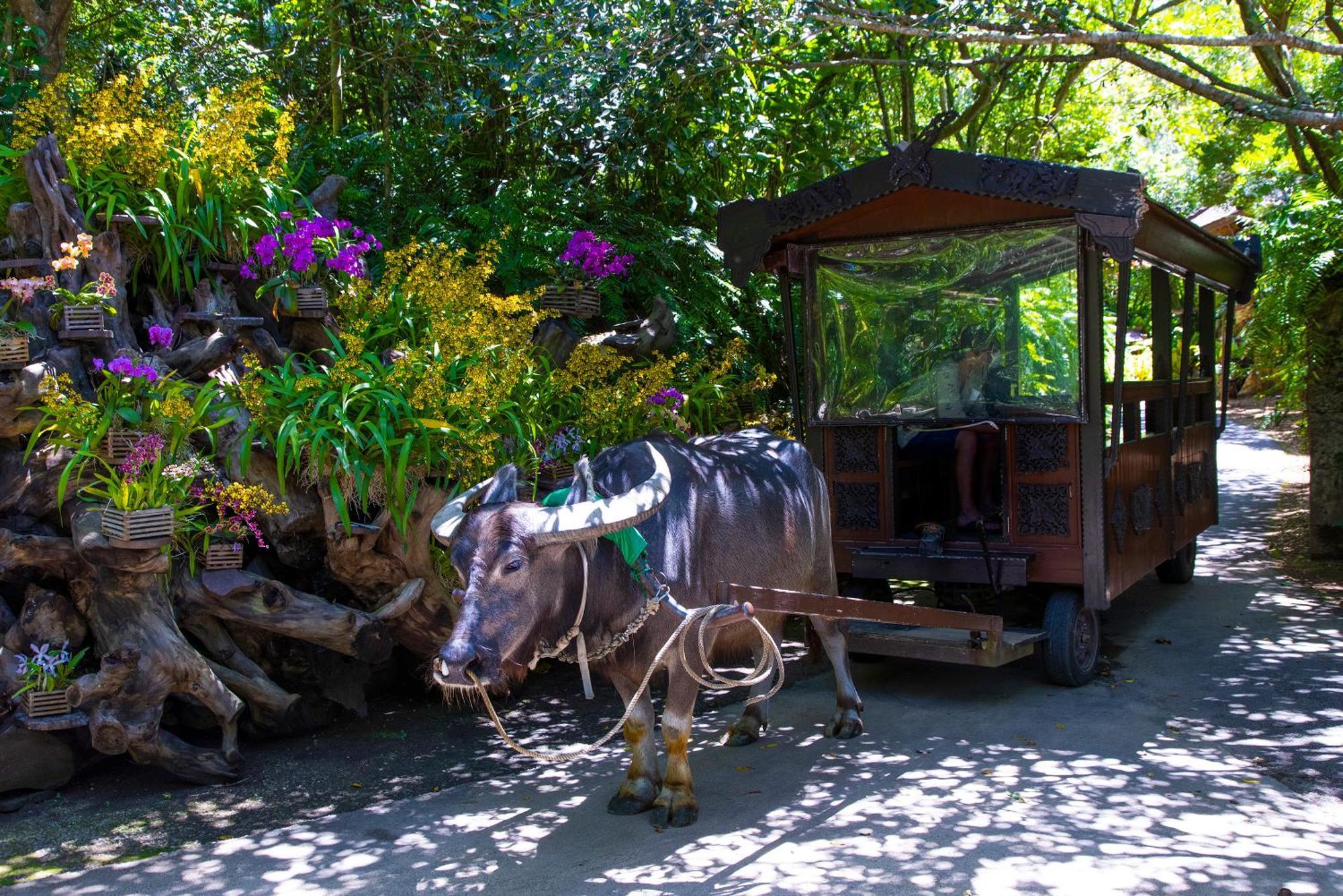 新規オープン サウナ Bbq ジャグジー付き 最大7名 無料駐車場4台 ビーチまで車で5分 Sky House Villa Uruma Bagian luar foto